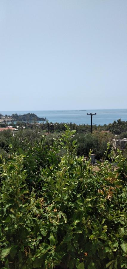 Raymondos Apartments Lassi  Luaran gambar